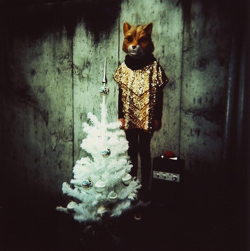 christmas, fox and gold
