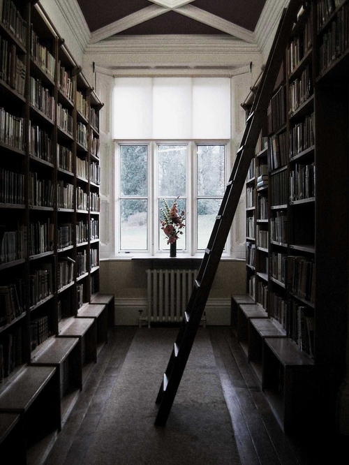 books, dark and ladder