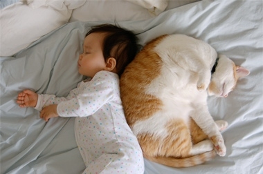 baby,  bed and  cat