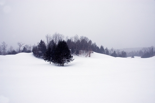 cold, landscape and nature