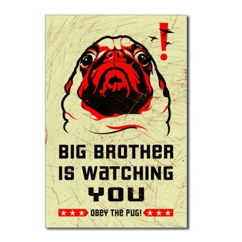 1984, big brother and obey