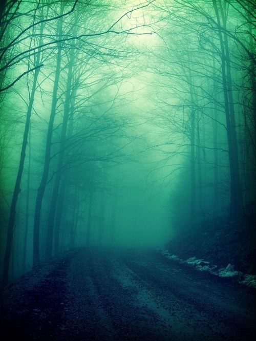 fog, green and mystery