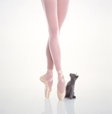 ballerina, ballet and cat