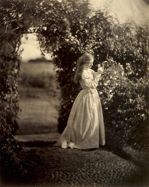19th century, flowers and garden