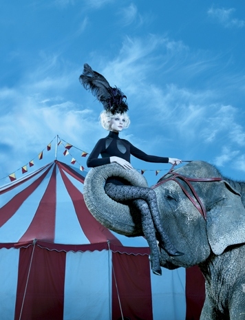 circus, elephant and fashion