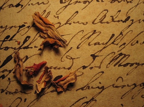 antique, calligraphy and leaves