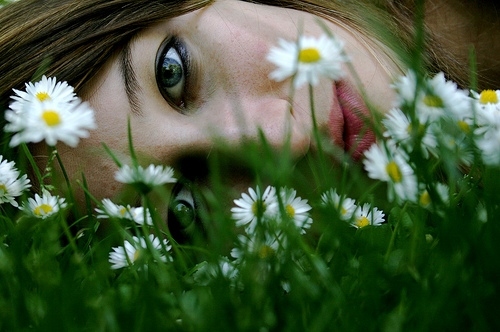 beautiful, daisies, daisy, eyes, face, flower