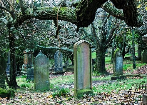 cemetery, green and leaves