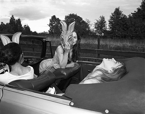 bunny, car and convertable