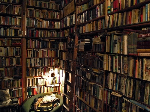 books, bookshelves and bookshop