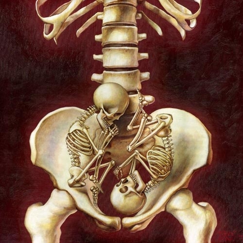 babies, bones and skeleton