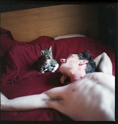 bed, boy and cat