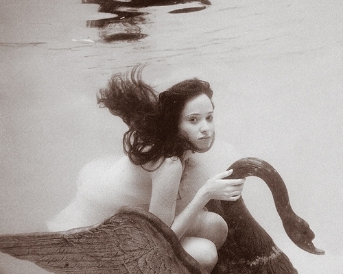 girl, mermaid and swan