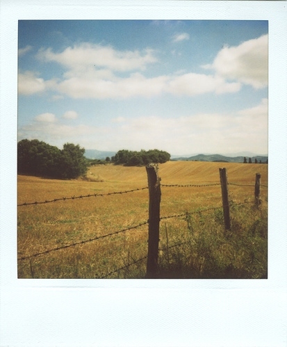country, fence and field