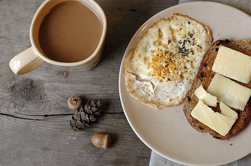 acorn, breakfast and cheese