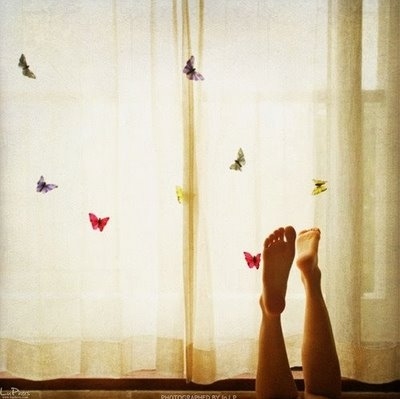 butterflies, butterfly and feet