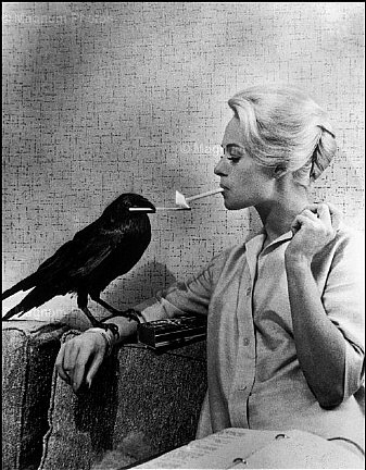 black and white, blonde and hitchcock