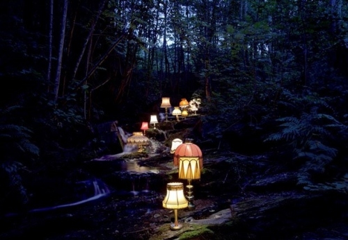 forest, lamps and lights