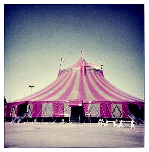 big top, circus and pink