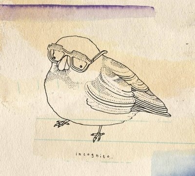 birds, drawing and funny