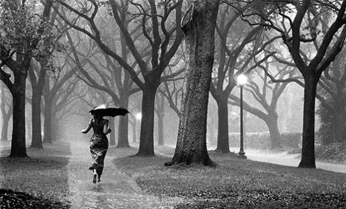 black and white,  park and  rain