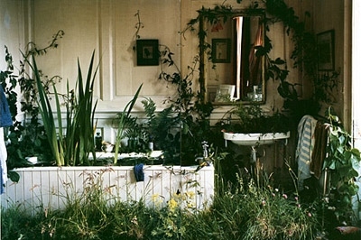 bathtub,  garden and  greenery