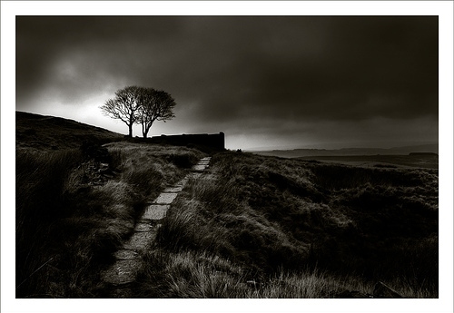 black and white, bronte and england