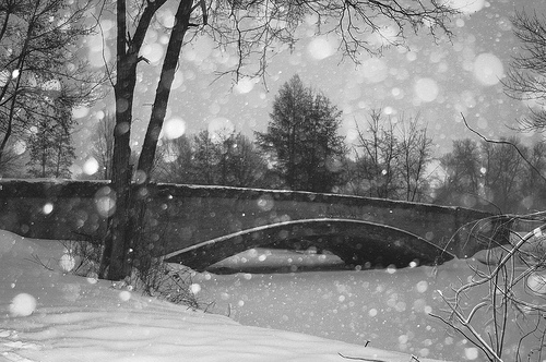 black and white, bridge and frozen