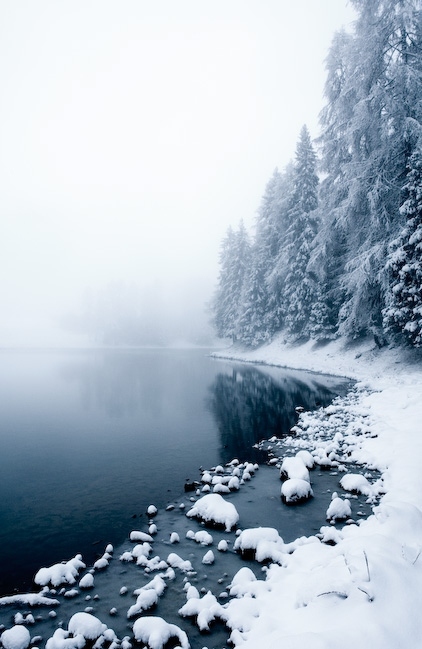 atmosphere, fog and frozen