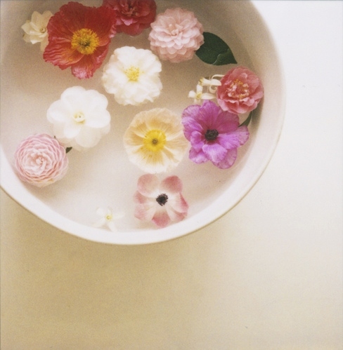 blossoms, bowl and flowers