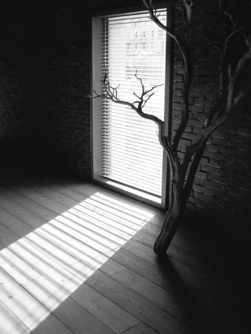 black and white, house and light