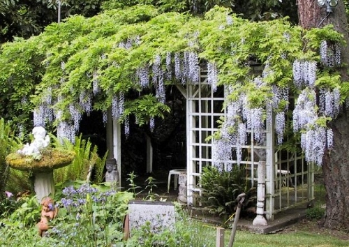 flowers, garden and gazebo