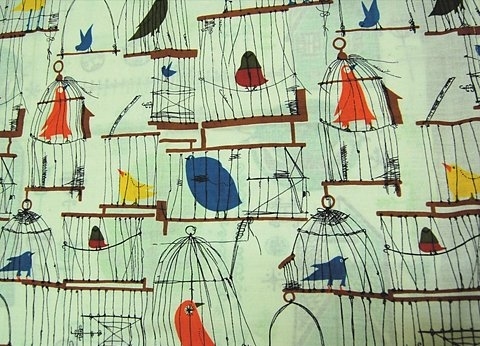 birdcage, birds and illustration