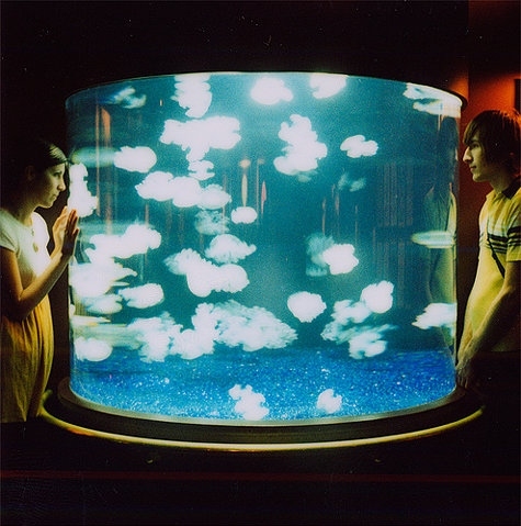 aquarium, blue and boy