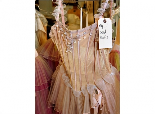 ballet, bodice and costume