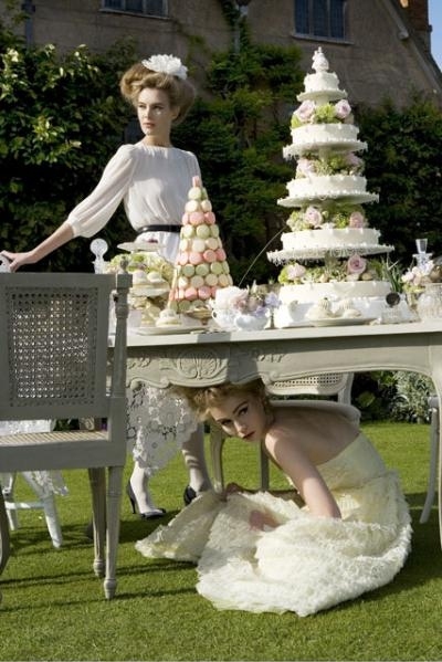 cake, cupcakes and fashion