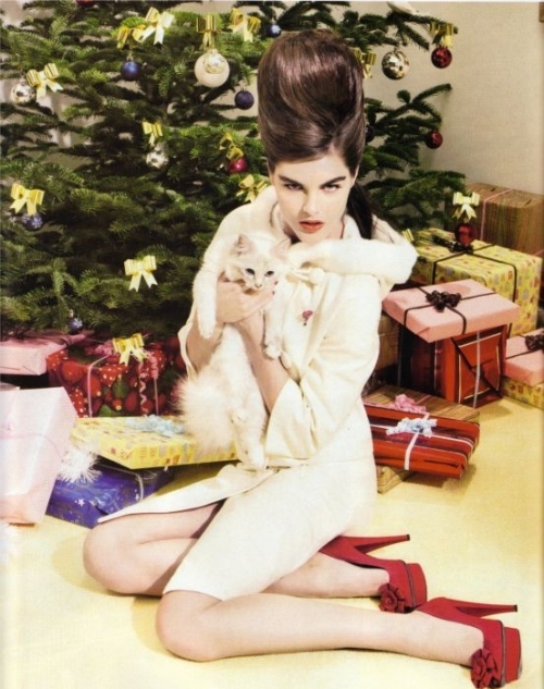 brunette, cat and christmas
