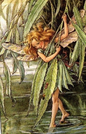 cicely mary barker, faerie and fairy