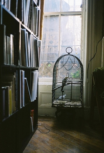 books, bookshelves and cage
