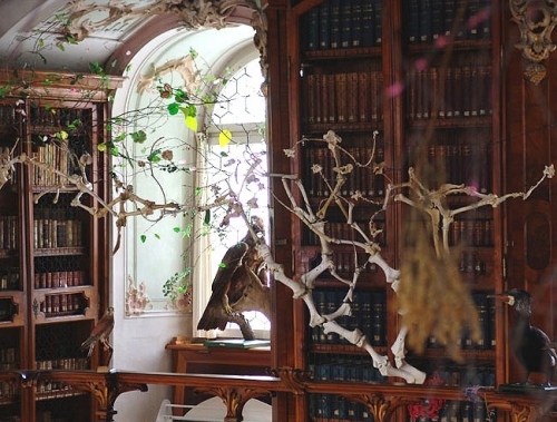 books, branches and libraries