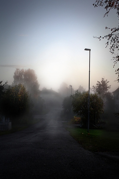 atmosphere, dawn and fog