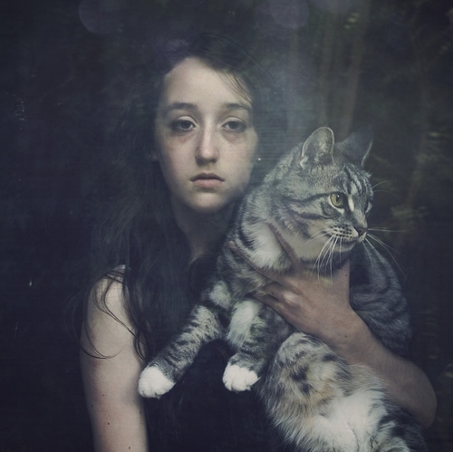 cat, girl and grey