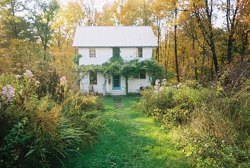 abandoned, cottage and garden