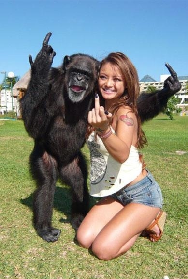 animals, girl and monkey