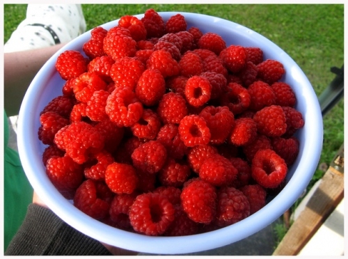 berries, fruit and raspberries