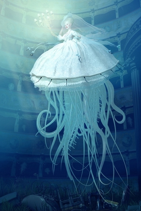 jellyfish, octopus and odd