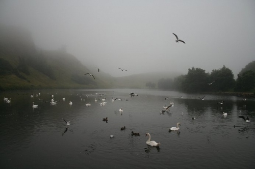 canon, fog and lake