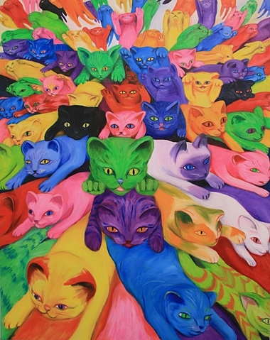 cat, cats and color