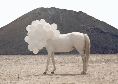 abstract, balloons and horses