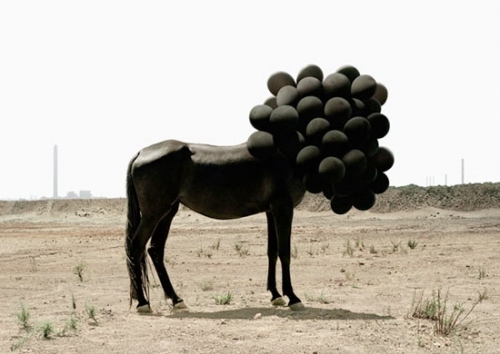 ballons, black and horses